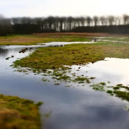 Thorseng Nature * 斯文堡
